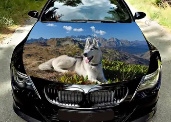 Винилови стикери върху предния Капак на автомобила с шарени кучета Хъски Greture Увийте Виниловую фолио Стикери на капака на двигателя, Универсална Защитно фолио за капака на автомобила