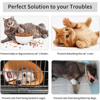 Защита, лесна задвижваната за котки, алтернатива за защита на кучета от кутии за котешки тоалетни и храни