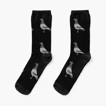 Гълъб - Хладен гълъб със слънчеви очила, Чорапи, Мини футболни чорапи, зимни чорапи, Компресия чорапи